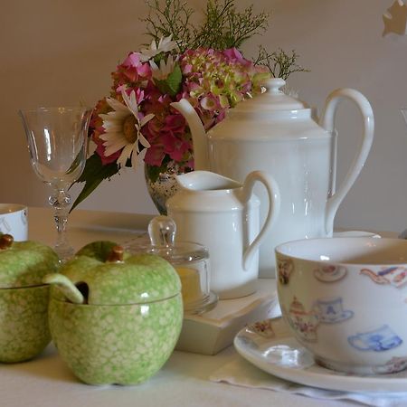 Bed and Breakfast La Gentilhommiere Chantepie Exteriér fotografie